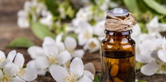 jasmine essential oil