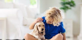 children and pets