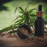 cannabis therapy