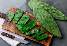 nopal cactus