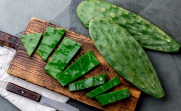nopal cactus