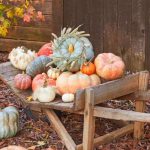Wreath of Plenty Pumpkins