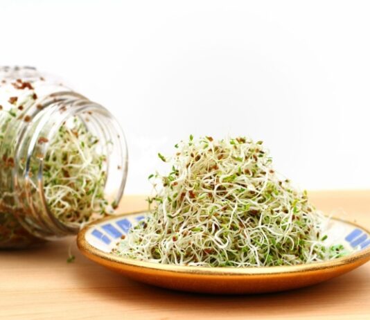alfalfa benefits
