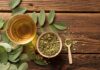 oregano tea benefits