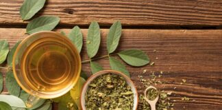 oregano tea benefits