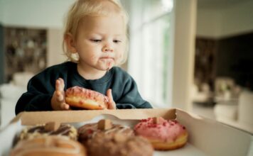 Safe and comfortable feeding environment
