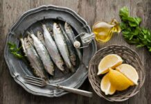sardines during pregnancy