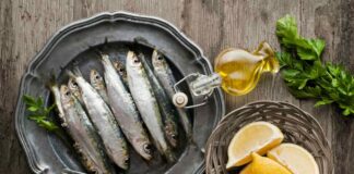 sardines during pregnancy